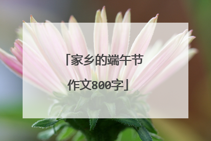 家乡的端午节作文800字