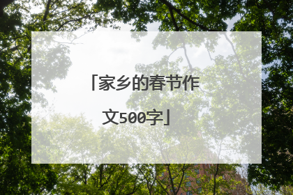 家乡的春节作文500字