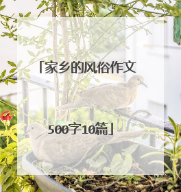 家乡的风俗作文500字10篇