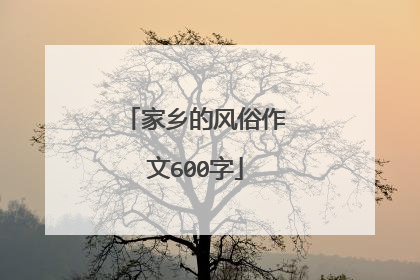 家乡的风俗作文600字