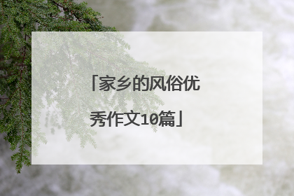 家乡的风俗优秀作文10篇