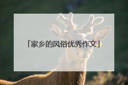 家乡的风俗优秀作文