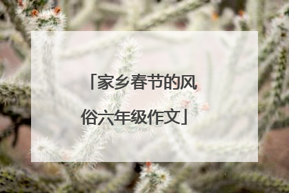 家乡春节的风俗六年级作文