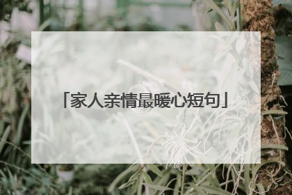 家人亲情最暖心短句