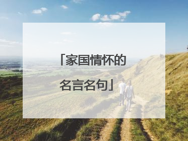 家国情怀的名言名句
