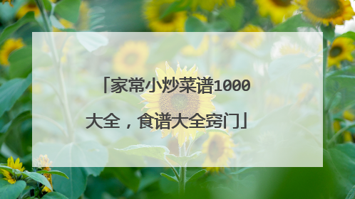 家常小炒菜谱1000大全，食谱大全窍门
