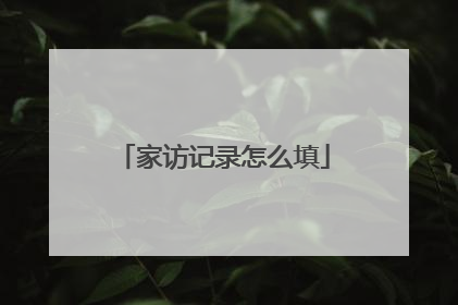 家访记录怎么填