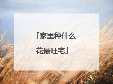 家里种什么花最旺宅