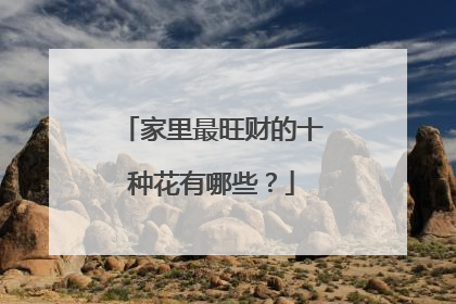 家里最旺财的十种花有哪些?