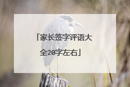 家长签字评语大全20字左右