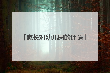 家长对幼儿园的评语