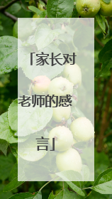 家长对老师的感言