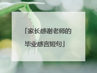 家长感谢老师的毕业感言短句