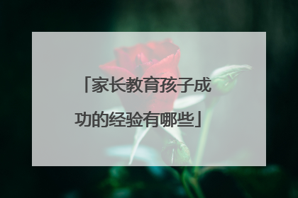 家长教育孩子成功的经验有哪些
