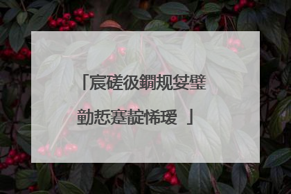 宸磋彶鐗规姇璧勭悊蹇靛悕瑷�