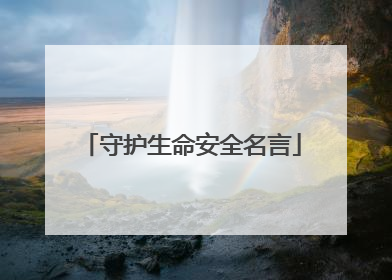 守护生命安全名言