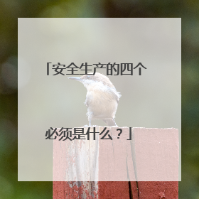 安全生产的四个必须是什么?
