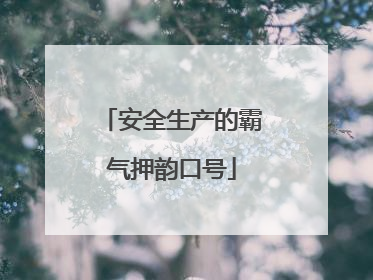 安全生产的霸气押韵口号