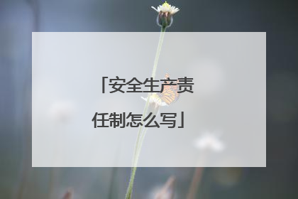 安全生产责任制怎么写