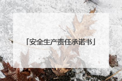 安全生产责任承诺书