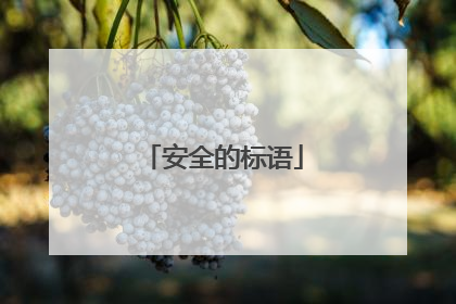 安全的标语