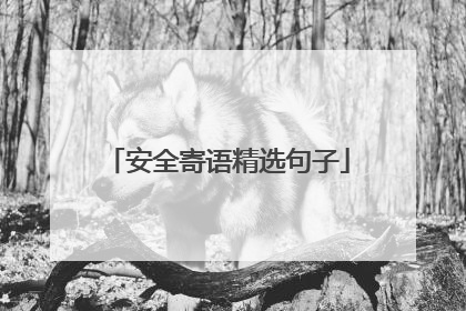 安全寄语精选句子