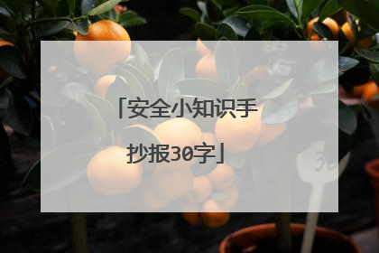 安全小知识手抄报30字