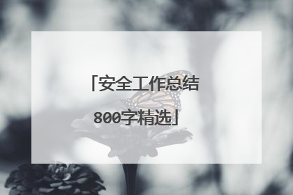 安全工作总结800字精选