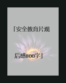 安全教育片观后感800字