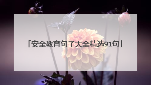 安全教育句子大全精选91句