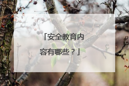 安全教育内容有哪些？