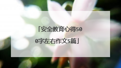 安全教育心得500字左右作文5篇