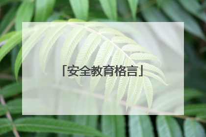 安全教育格言