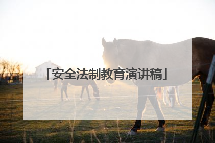 安全法制教育演讲稿