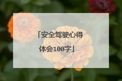 安全驾驶心得体会100字