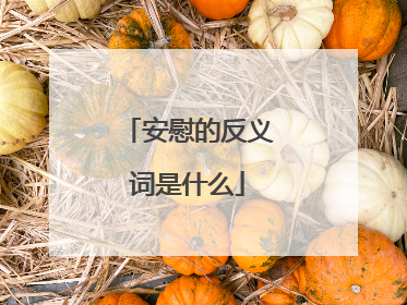 安慰的反义词是什么