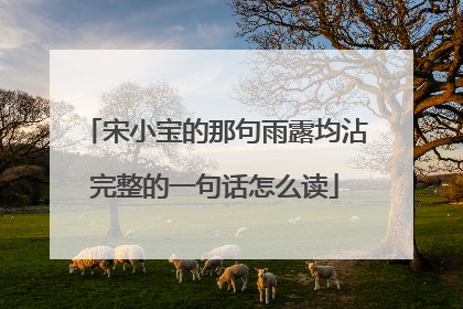 宋小宝的那句雨露均沾完整的一句话怎么读