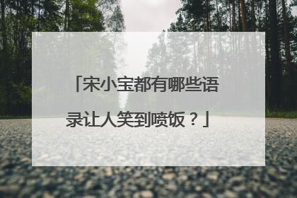 宋小宝都有哪些语录让人笑到喷饭？