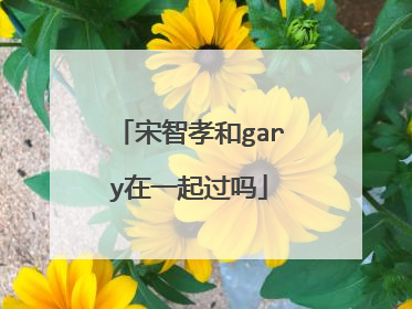 宋智孝和gary在一起过吗