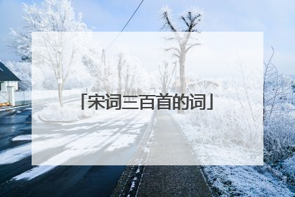 宋词三百首的词