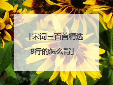 宋词三百首精选8行的怎么背