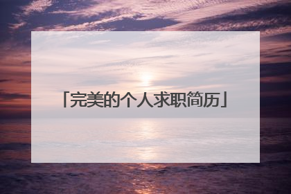 完美的个人求职简历