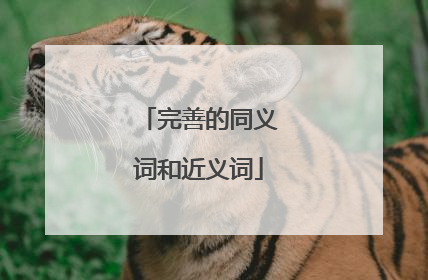 完善的同义词和近义词