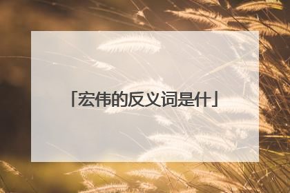 宏伟的反义词是什