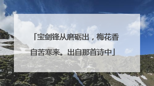 宝剑锋从磨砺出,梅花香自苦寒来。出自那首诗中