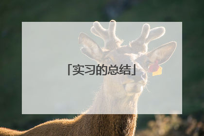 实习的总结