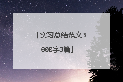 实习总结范文3000字3篇