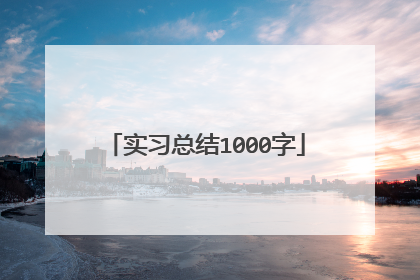 实习总结1000字