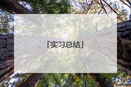 实习总结