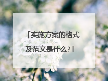 实施方案的格式及范文是什么?